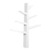 Babyletto Pre-Order Spruce Tree Bookcase - White Fashion