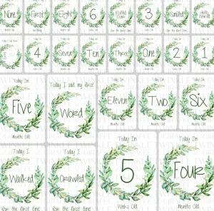 Twinkle u0026 Giraffe Twinkle Wreath Baby Milestone Cards - Set of 25 New