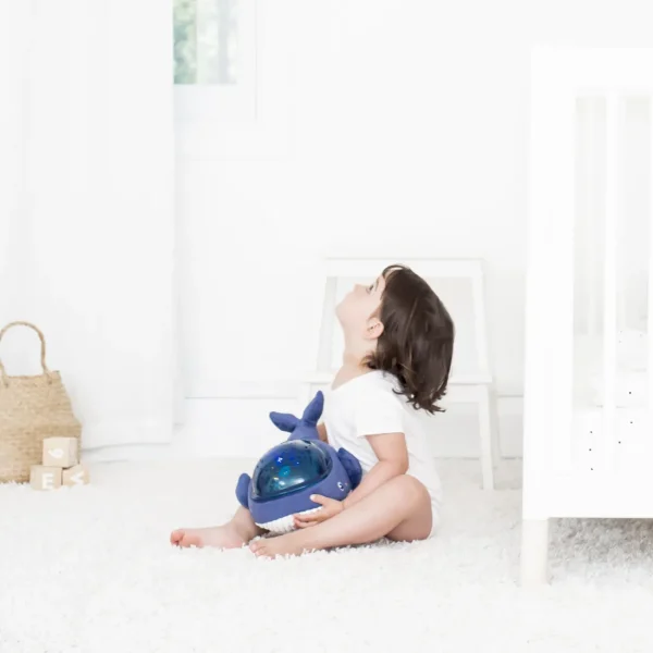 Pabobo Whale Aqua Dream Sale