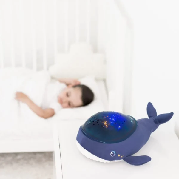 Pabobo Whale Aqua Dream Sale
