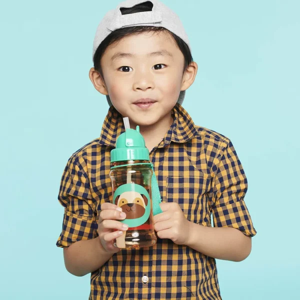Skip Hop Zoo Straw Bottle pug Best